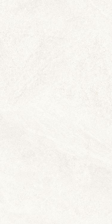 Dhara White Matte 12 x 24